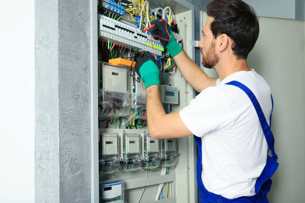 Best Electric Panel Repair  in Lytle, TX